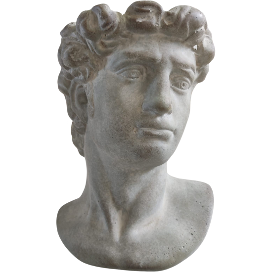 Scultura David