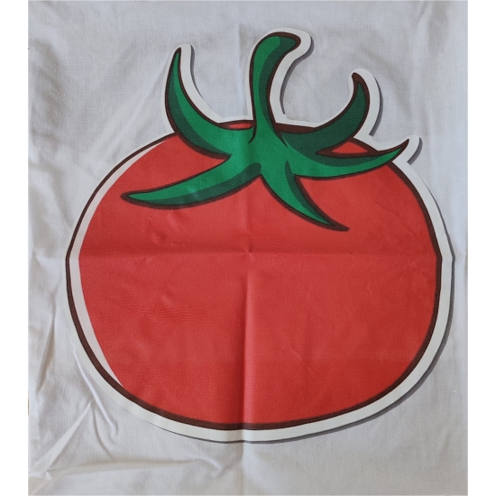 Cuscino Pomodoro 40x40